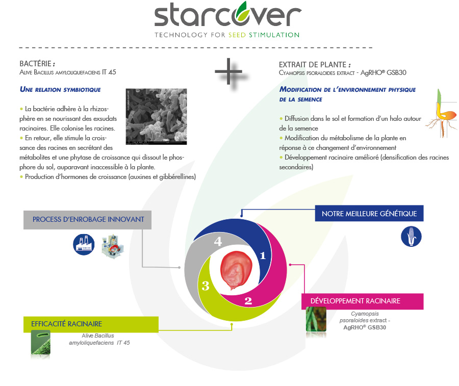 zoom starcover