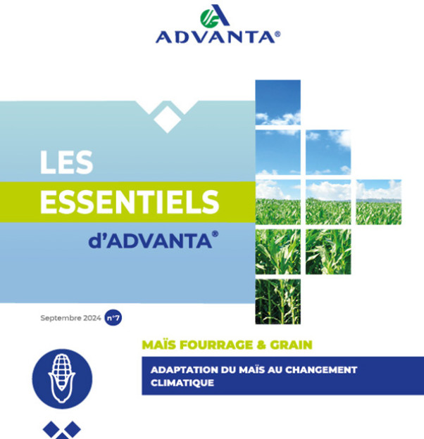 Les Essentiels d'Advanta n°7