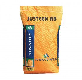 JUSTEEN AB